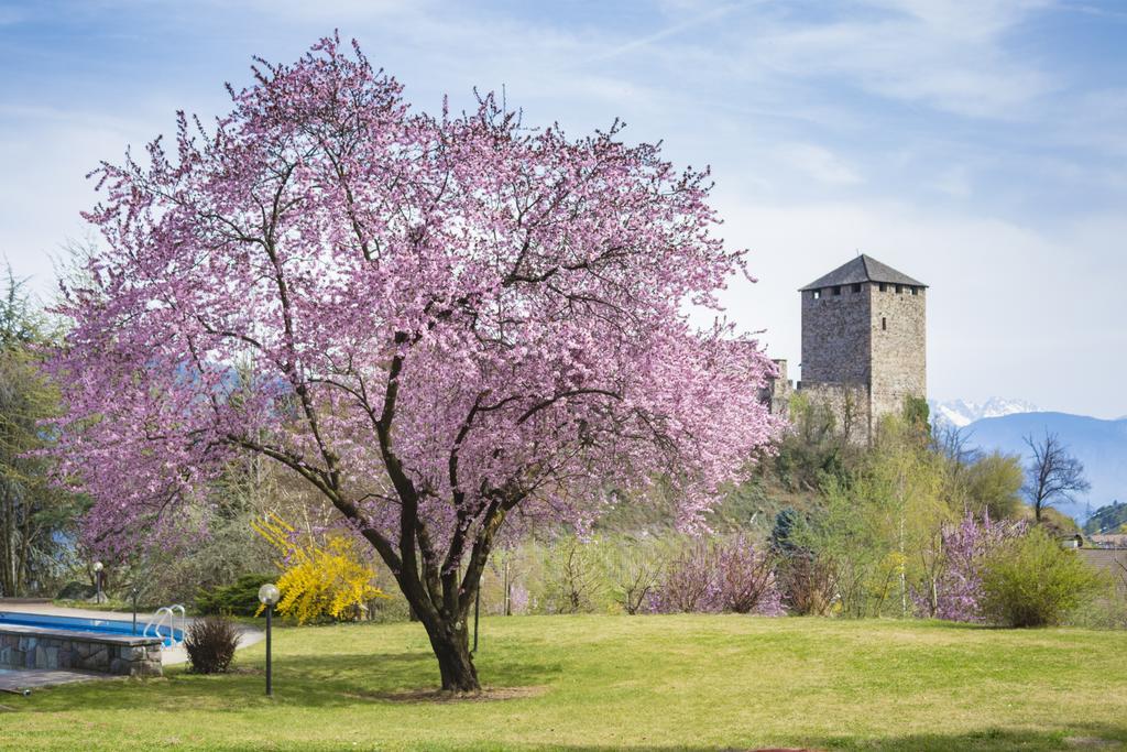 Hotel Der Waldhof Vollan Zewnętrze zdjęcie